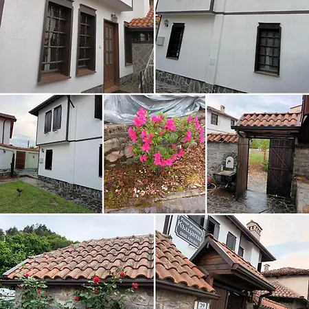 Guest house 